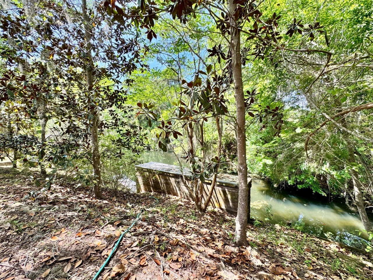 30391 NE 97th Place Salt Springs FL 32134 - Lake George OM725020 image9