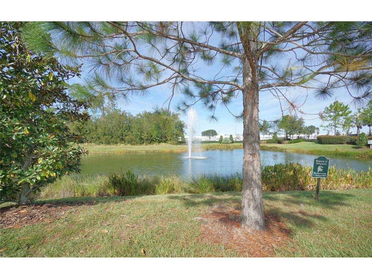 30399 Marquette Avenue Wesley Chapel FL 33545 TB8448533 image27