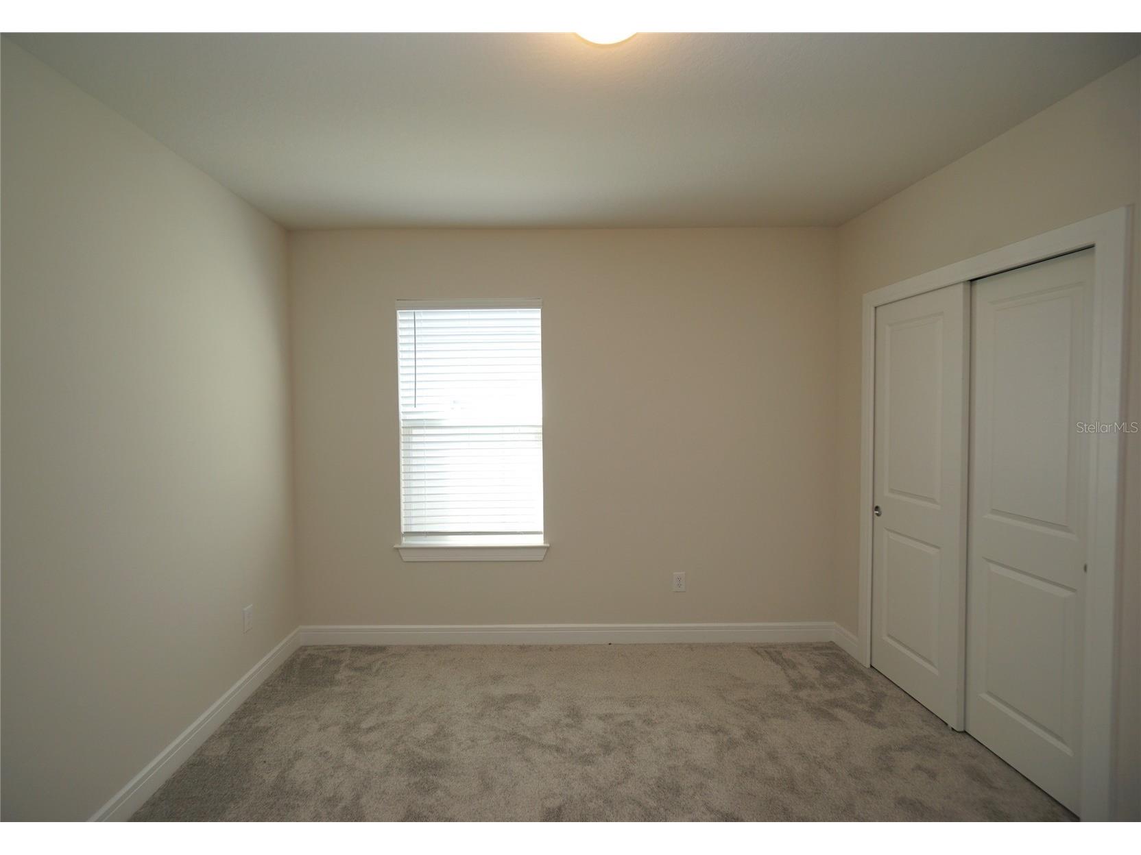 30399 Marquette Avenue Wesley Chapel FL 33545 TB8496117 image19