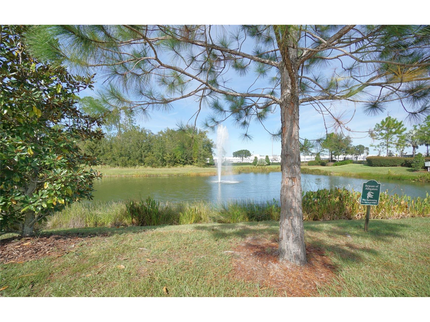30399 Marquette Avenue Wesley Chapel FL 33545 TB8496117 image29
