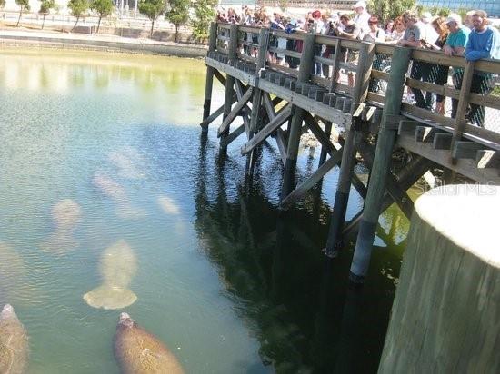 304 4th Avenue NW Ruskin FL 33570 TB8513357 image42