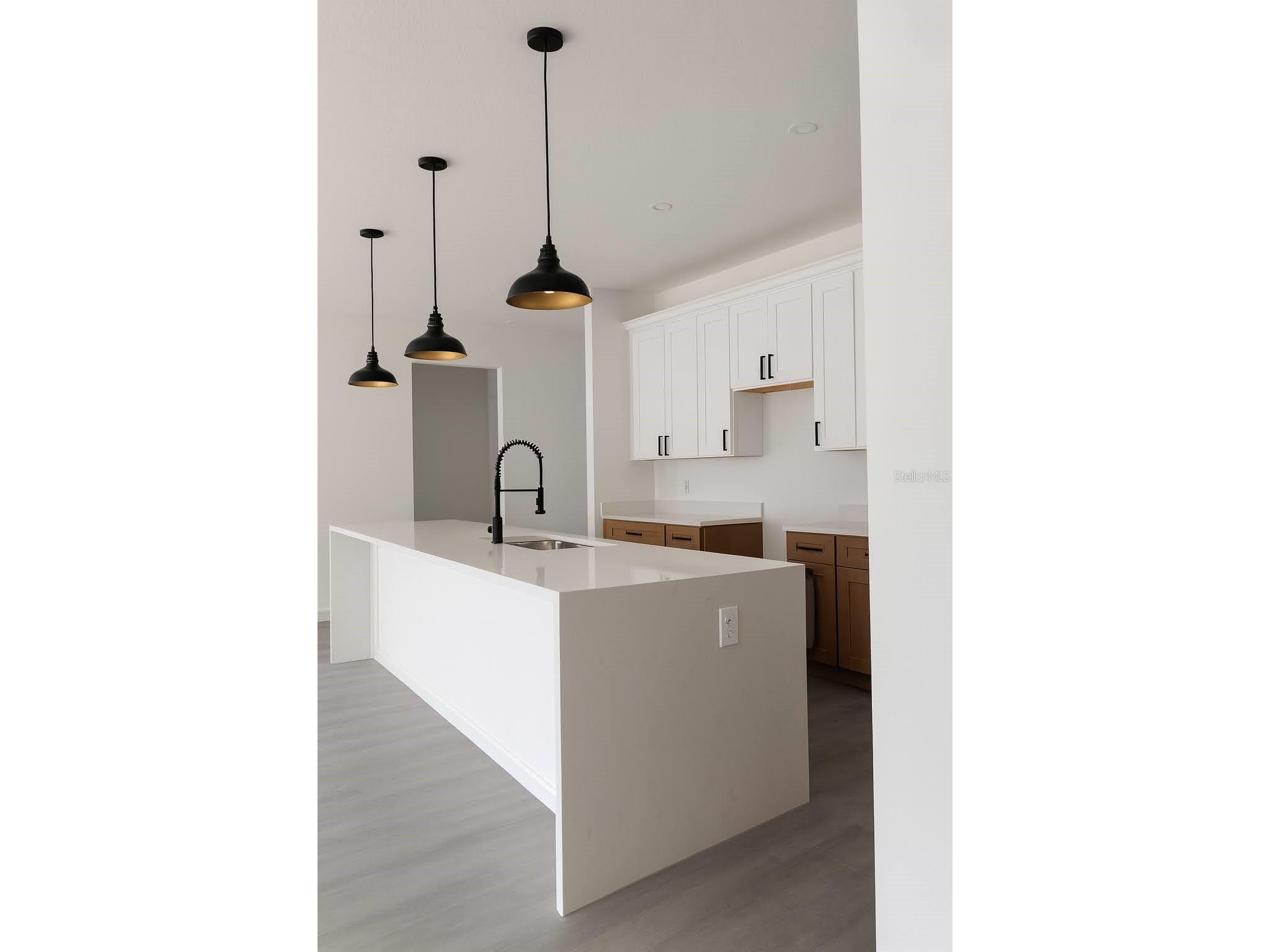 304 Bass Lane Kissimmee FL 34759 O6351826 image4