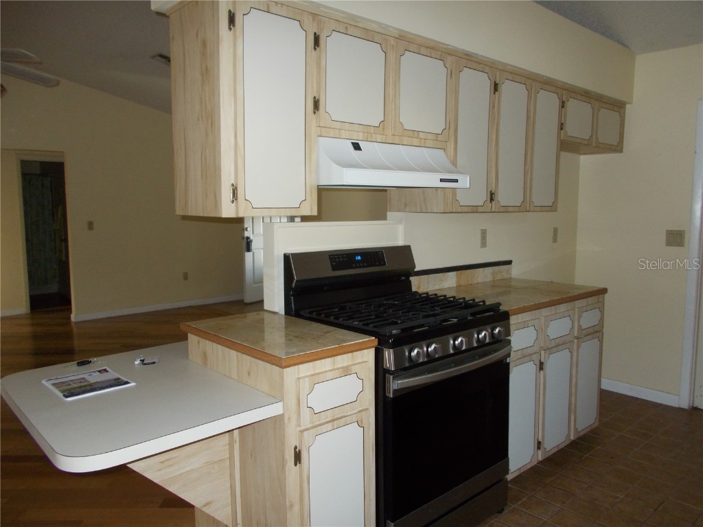 304 Brigadoon Circle Leesburg FL 34788 OM712733 image16