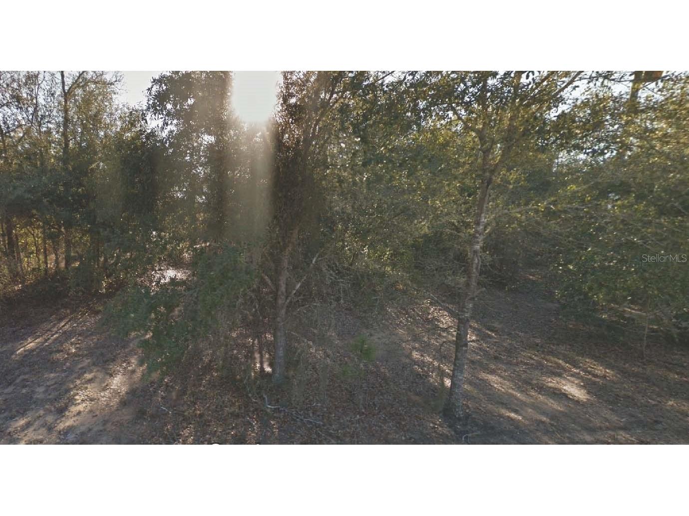 304 California Avenue Interlachen FL 32148 OM715771 image1