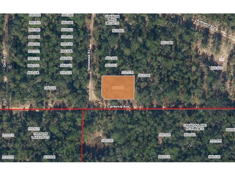 304 California Avenue Interlachen FL 32148 OM715771 image2