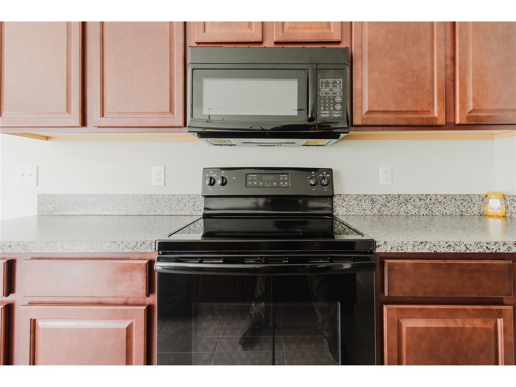 304 Cascade Bend Ruskin FL 33570 TB8502410 image67