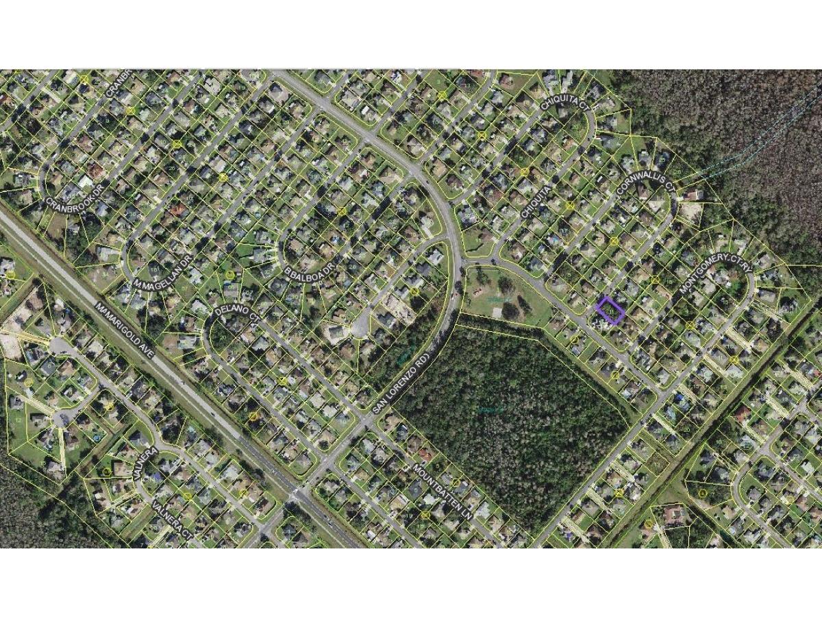 304 Cornwallis Court Kissimmee FL 34758 A4596550 image1