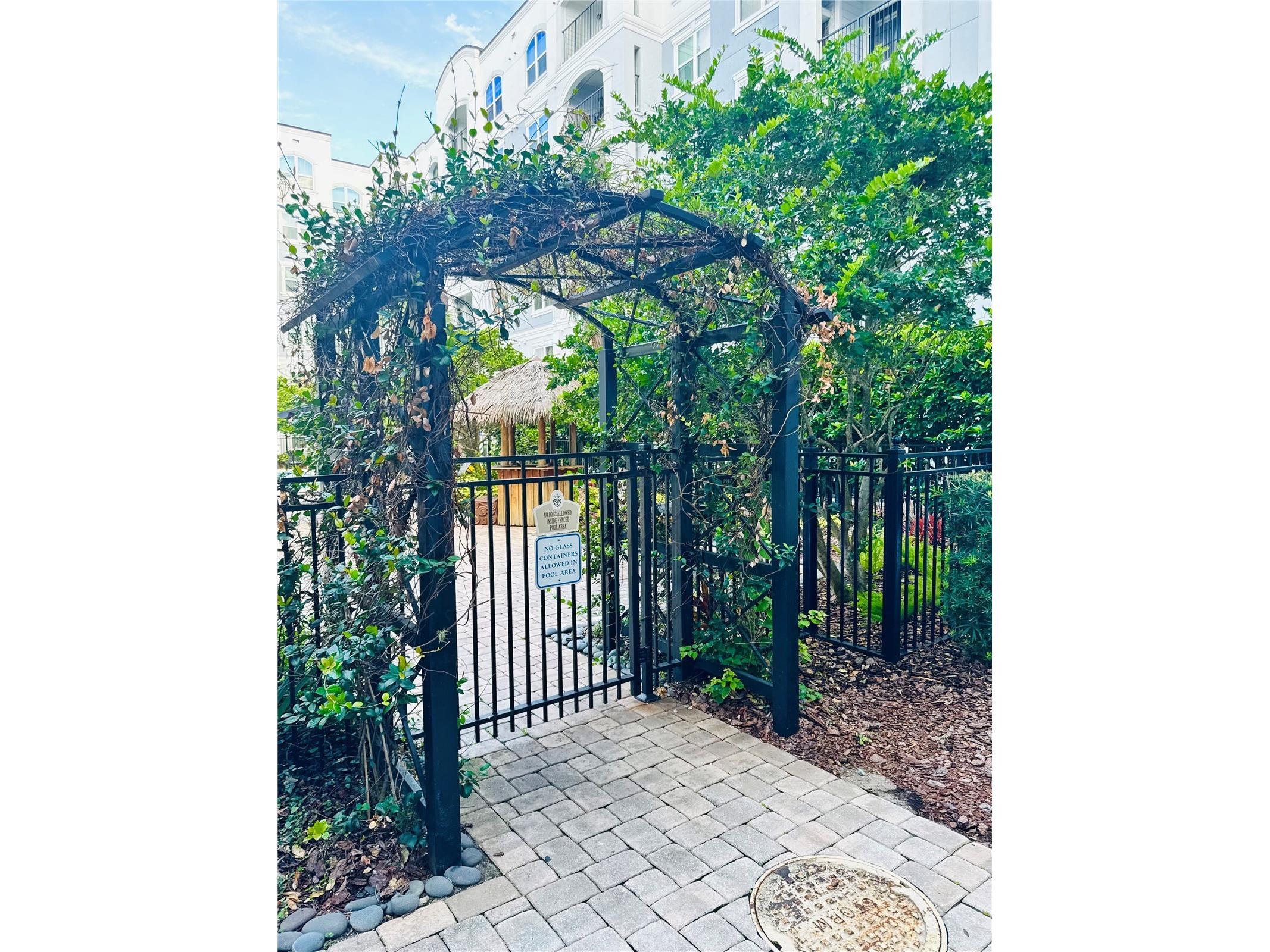 304 E South Street #2026 Orlando FL 32801 O6416287 image10