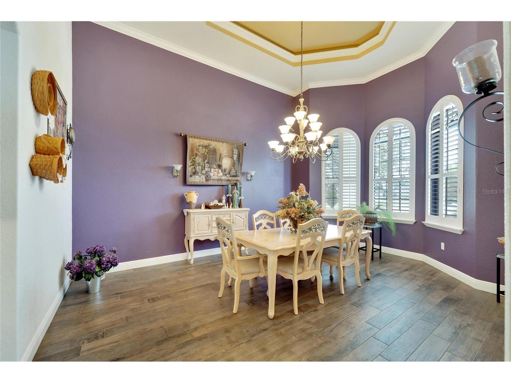 304 Hawk Talon Drive Lithia FL 33547 TB8468458 image10