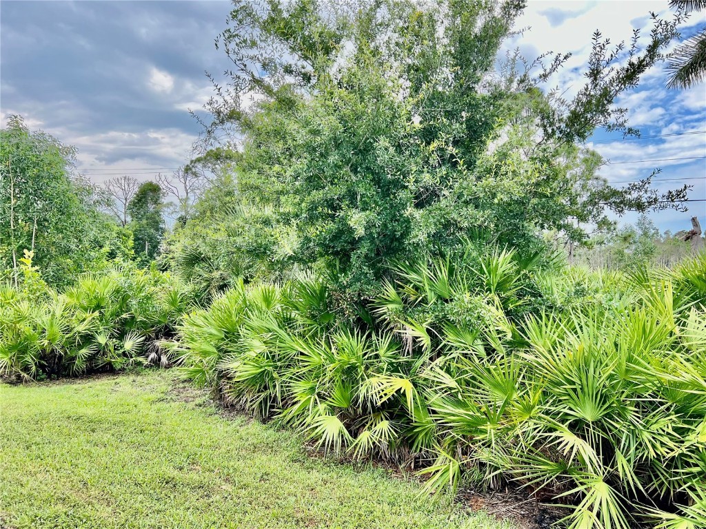 304 Islamorada Boulevard Punta Gorda FL 33955 C7496825 image7