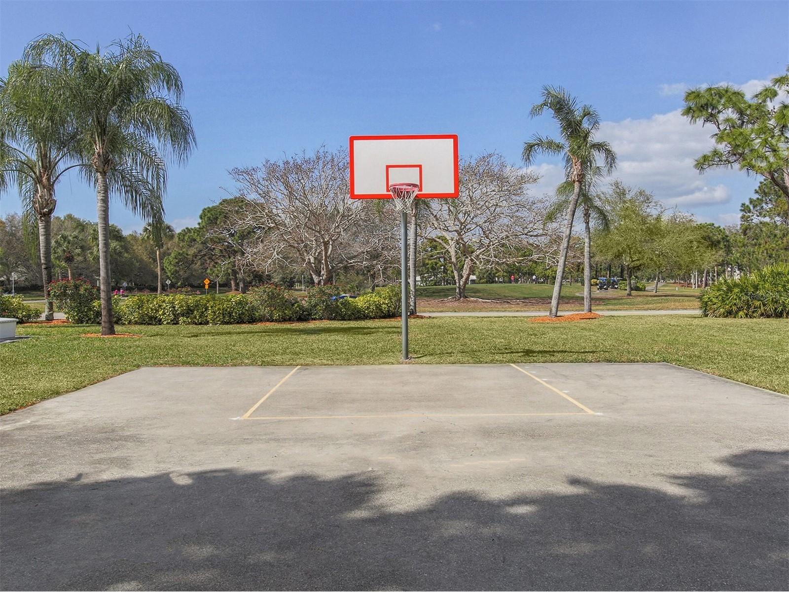 304 Langholm Drive Venice FL 34293 N6144528 image28