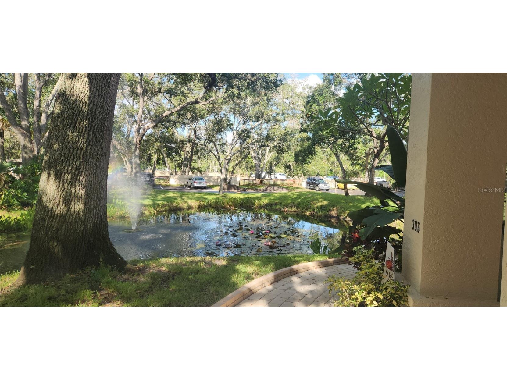 304 Los Prados #304 Safety Harbor FL 34695 TB8439202 image2