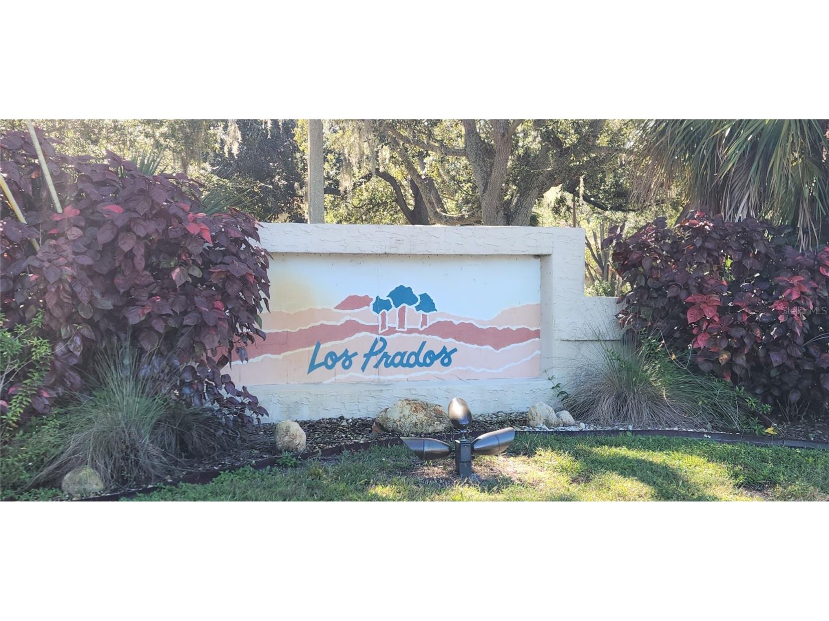 304 Los Prados #304 Safety Harbor FL 34695 TB8439202 image51