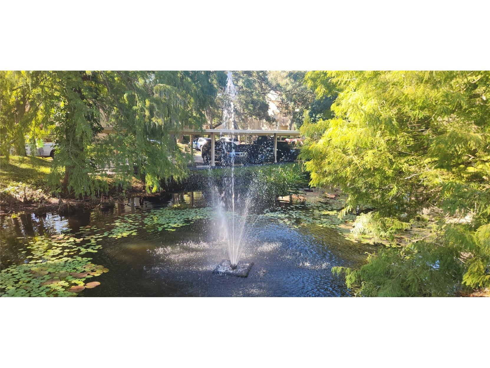 304 Los Prados #304 Safety Harbor FL 34695 TB8439202 image54