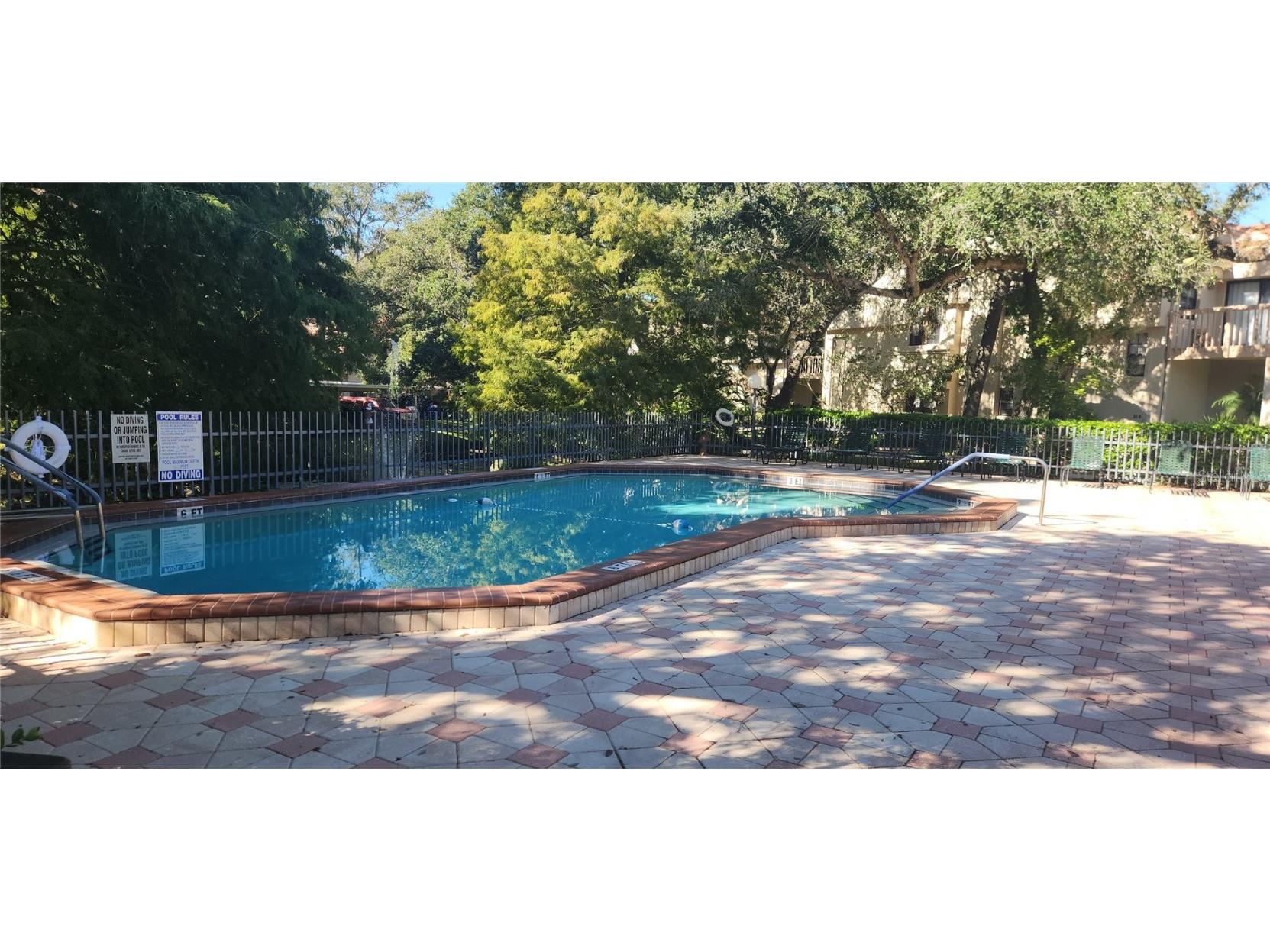 304 Los Prados #304 Safety Harbor FL 34695 TB8439202 image61