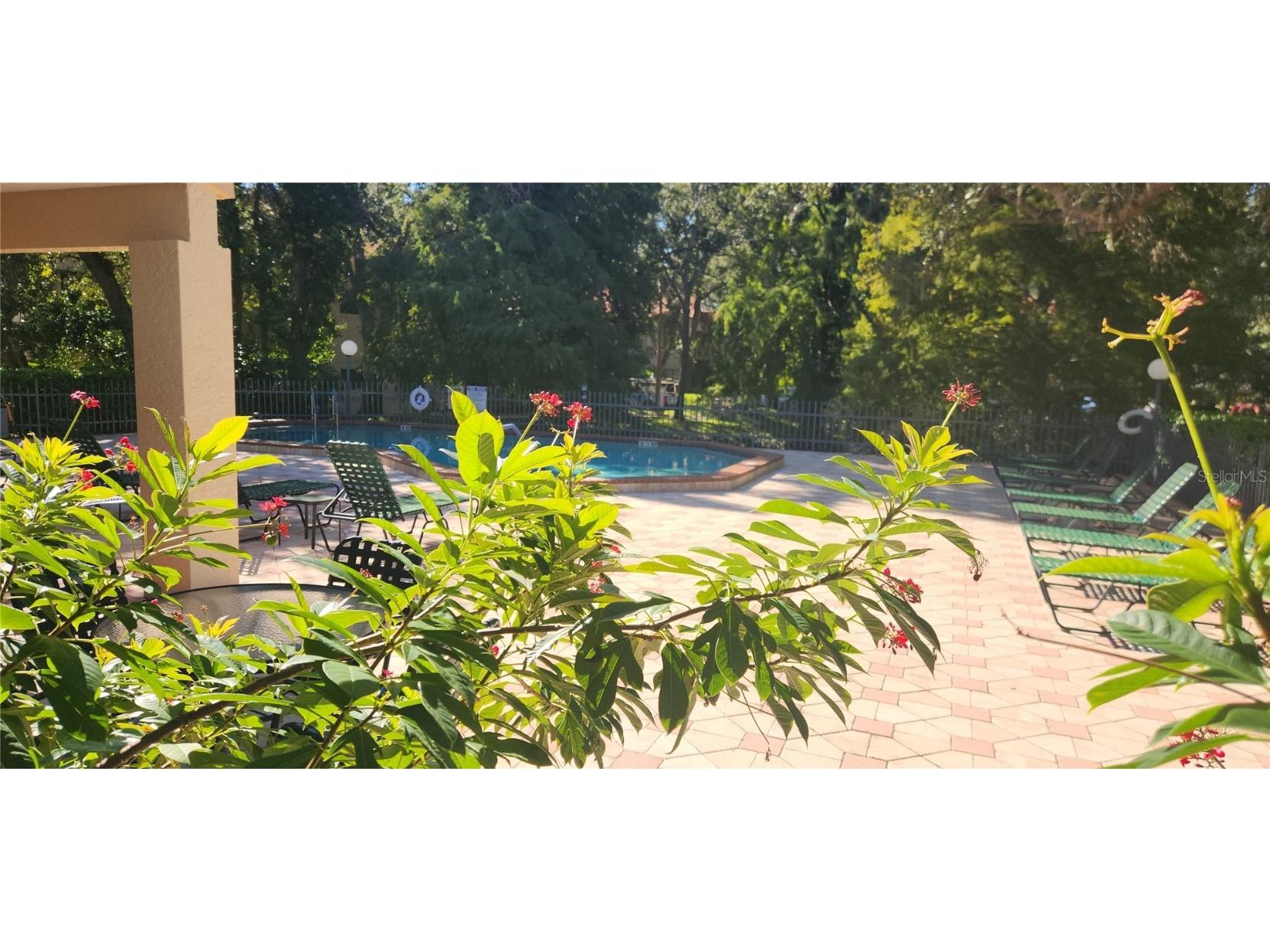 304 Los Prados #304 Safety Harbor FL 34695 TB8439202 image66