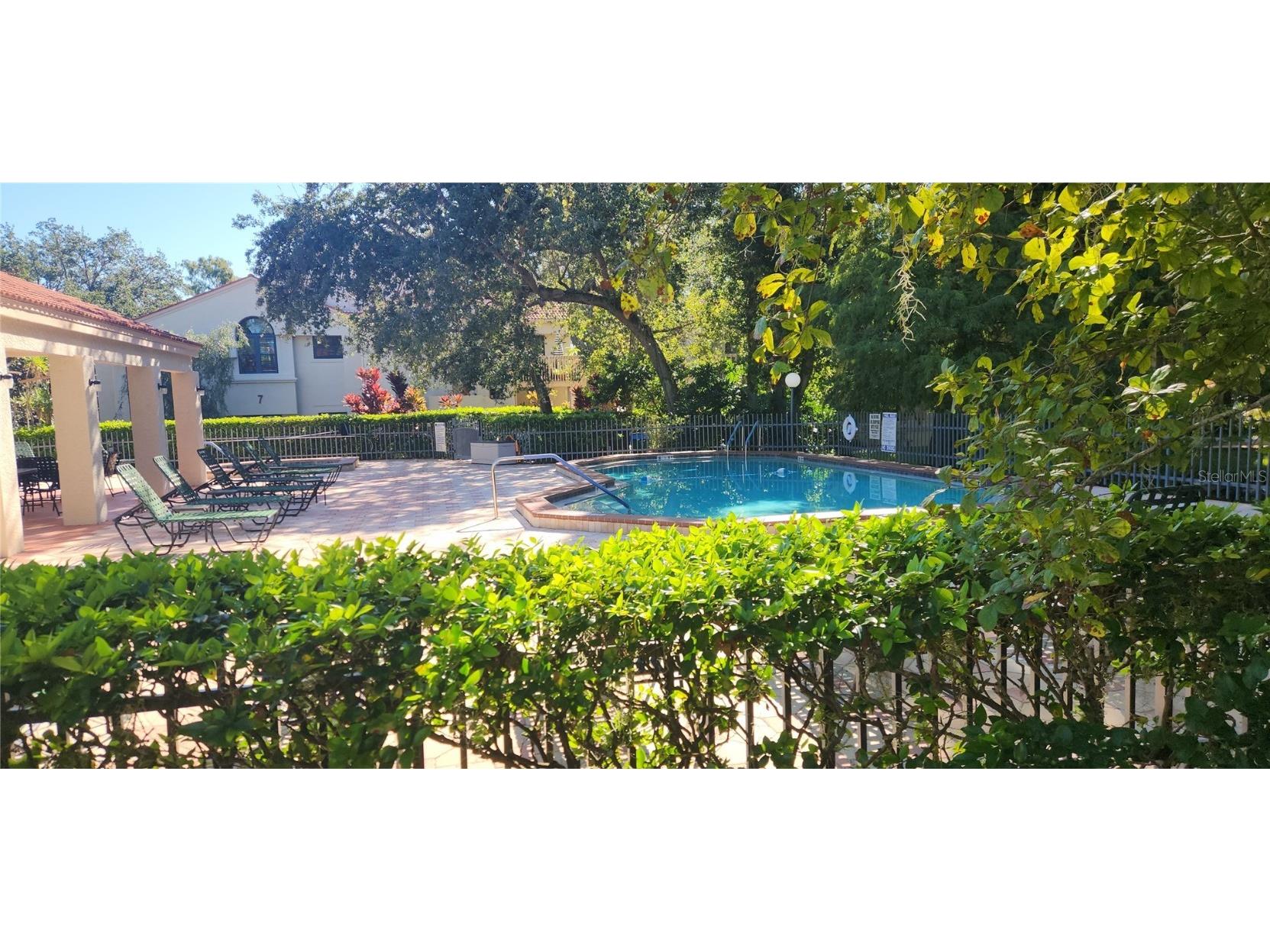 304 Los Prados #304 Safety Harbor FL 34695 TB8439202 image67