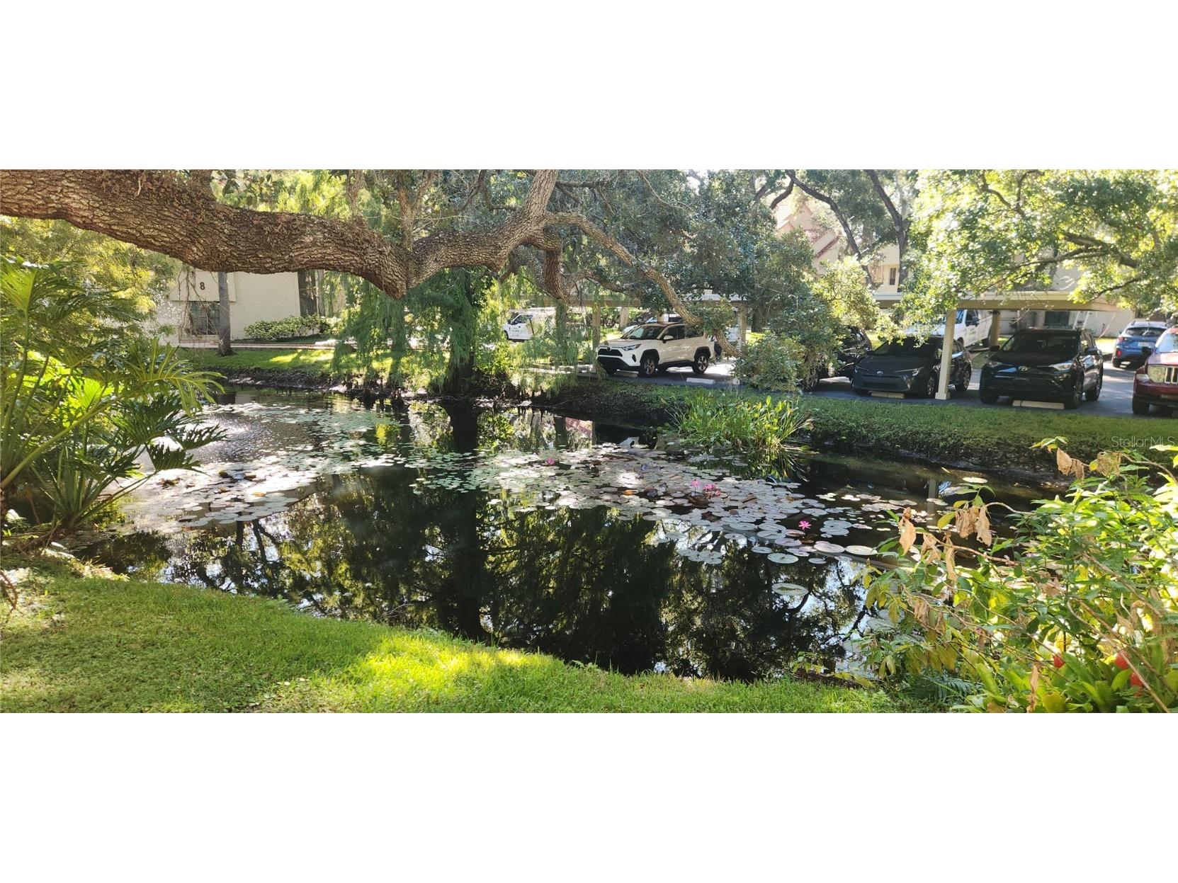 304 Los Prados #304 Safety Harbor FL 34695 TB8439202 image68