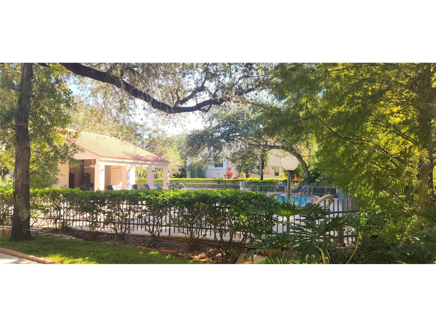 304 Los Prados #304 Safety Harbor FL 34695 TB8439202 image69