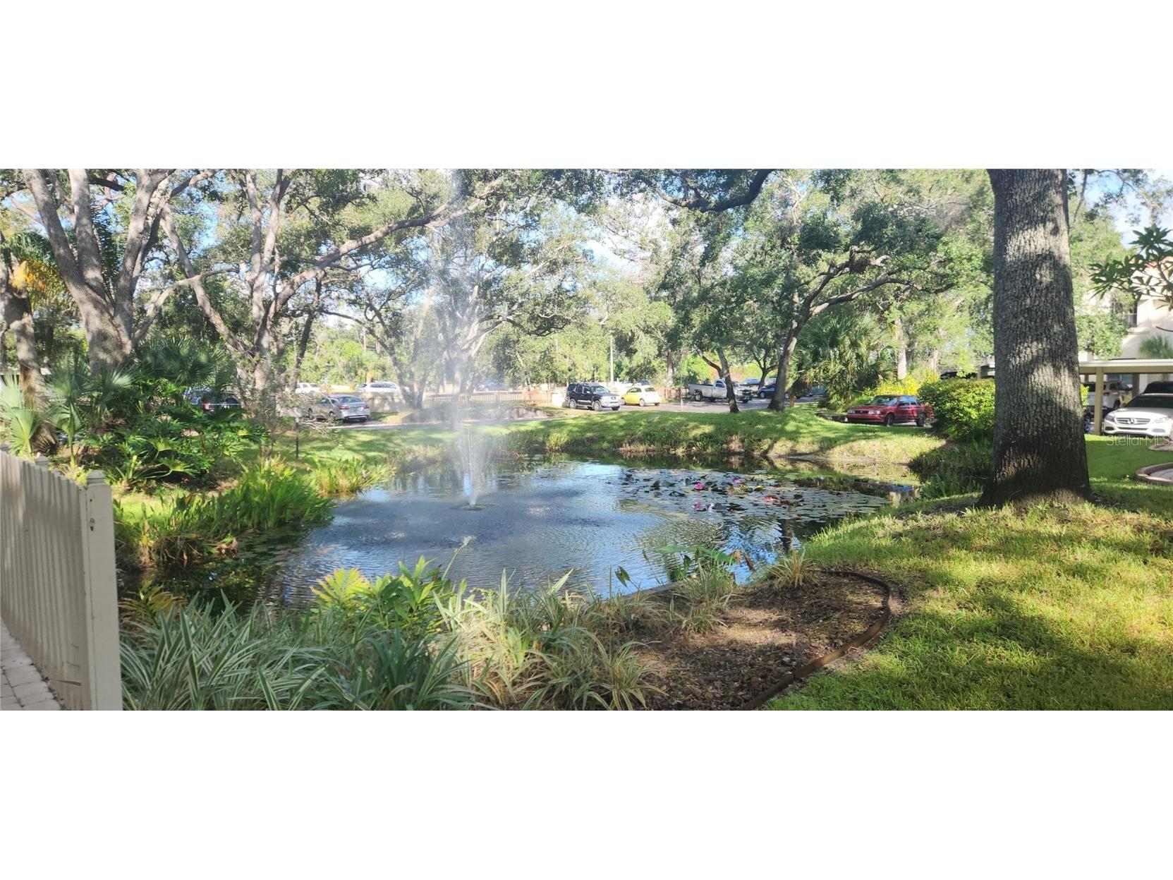 304 Los Prados #304 Safety Harbor FL 34695 TB8439202 image7