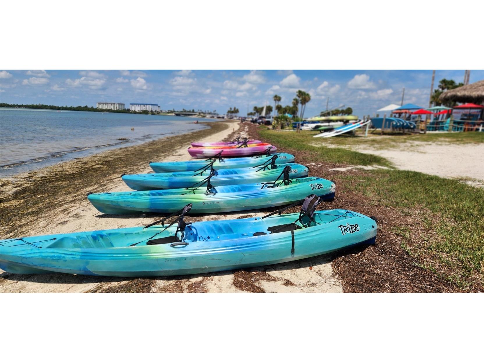 304 Los Prados #304 Safety Harbor FL 34695 TB8439202 image73