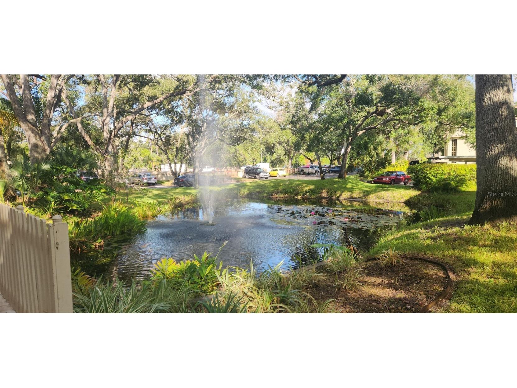 304 Los Prados #304 Safety Harbor FL 34695 TB8439202 image8