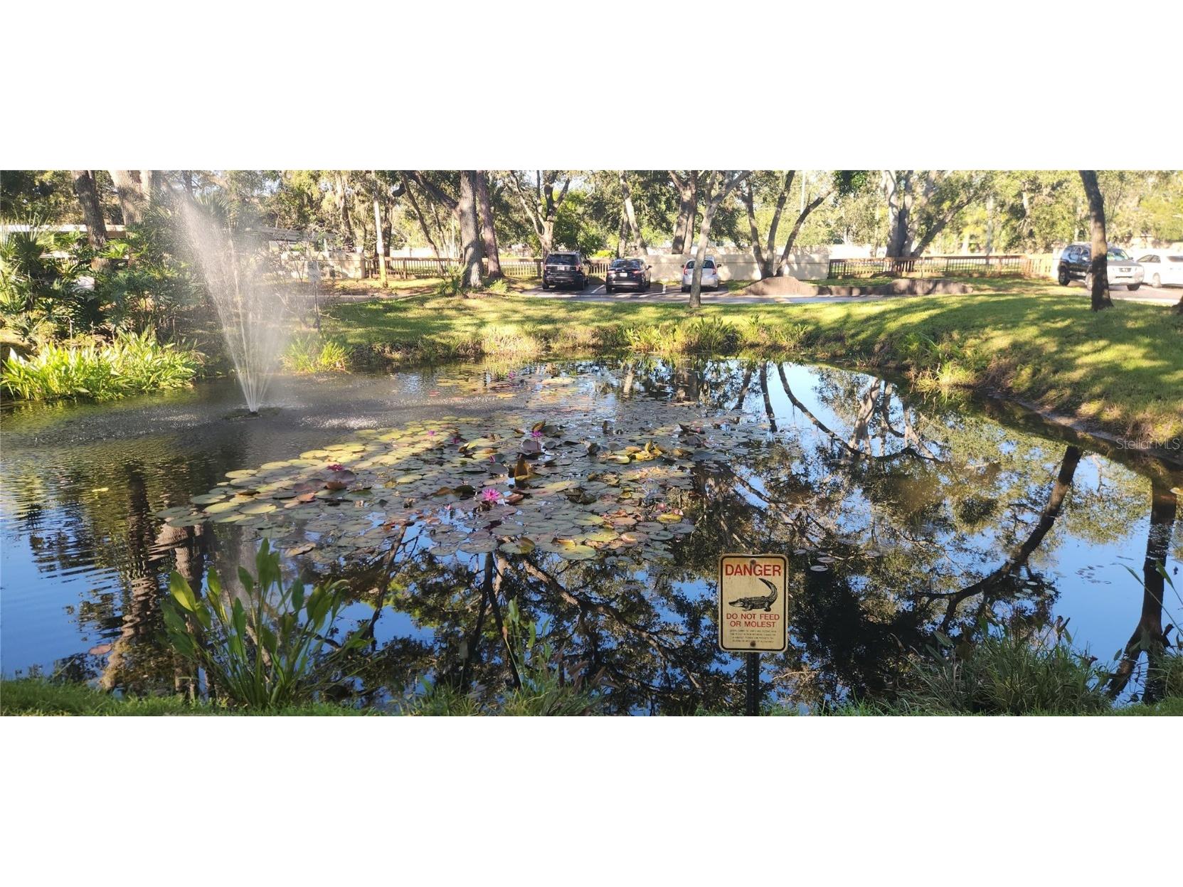 304 Los Prados #304 Safety Harbor FL 34695 TB8439202 image9