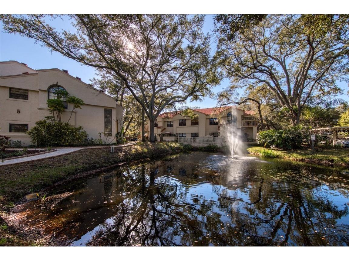 304 Los Prados Drive #304 Safety Harbor FL 34695 U8190902 image1