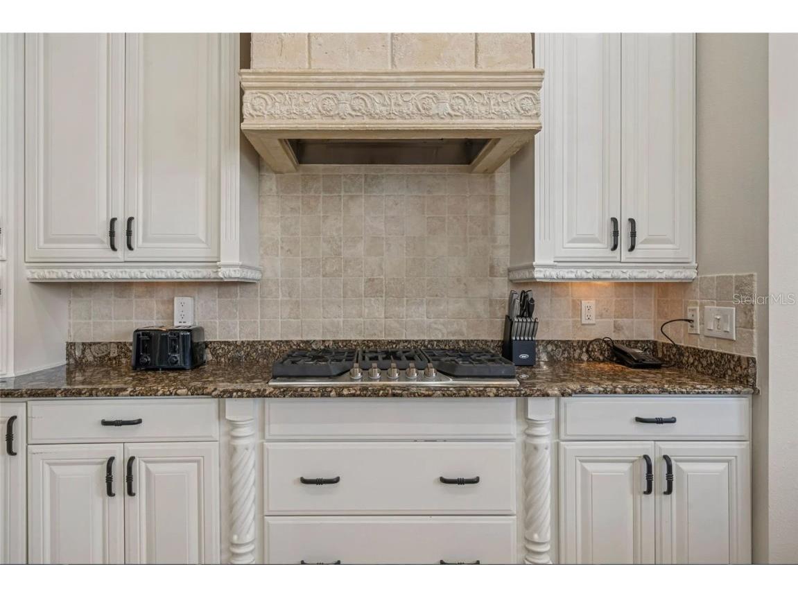 304 Muirfield Loop Reunion FL 34747 O6308746 image17