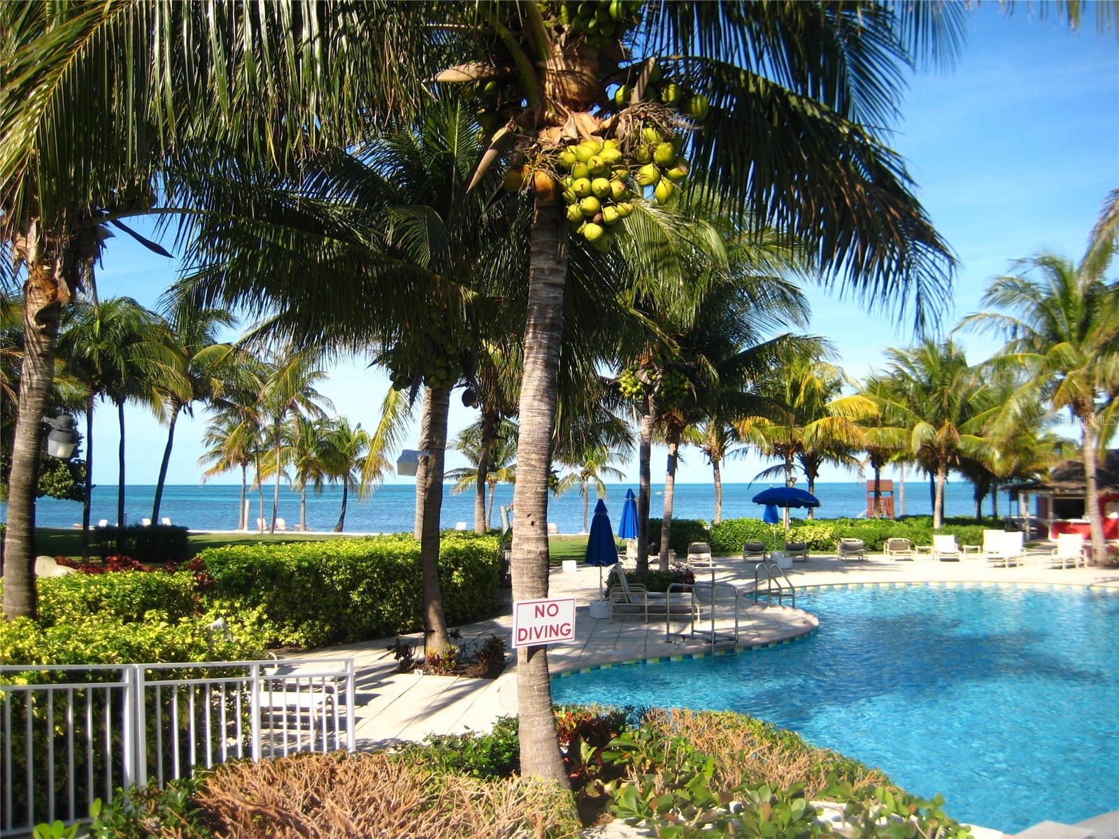 304 New Providence #304 Davenport FL 33897 O6402373 image14