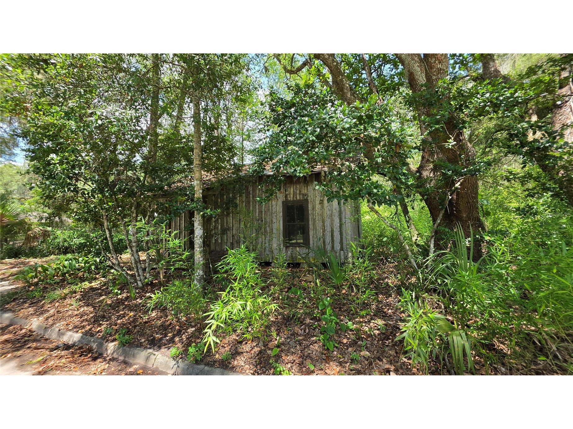 304 NW 5th Street Micanopy FL 32667 GC541530 image14