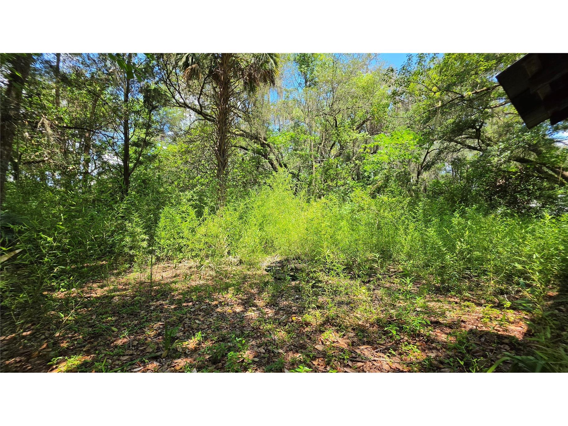 304 NW 5th Street Micanopy FL 32667 GC541530 image7