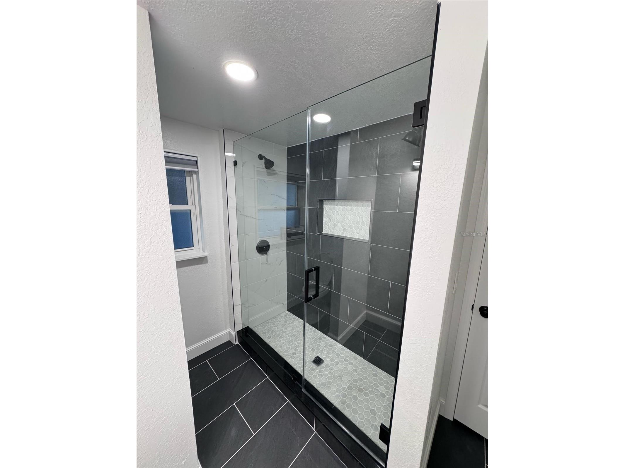 304 Patty Drive Oldsmar FL 34677 TB8500425 image9