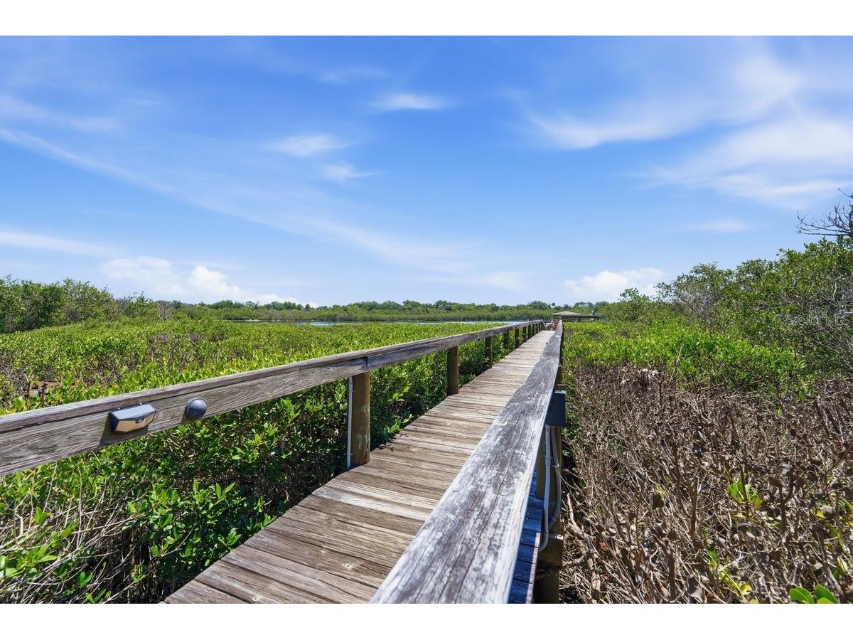 304 Portside Lane Edgewater FL 32141 NS1088581 image54