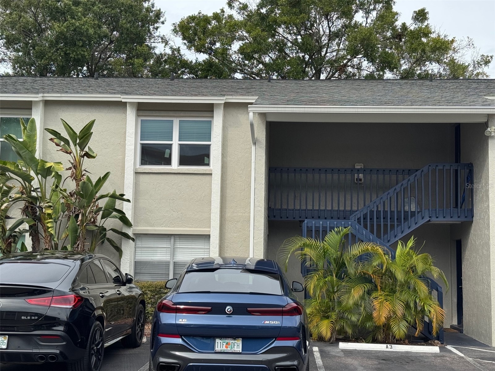 304 S Habana Avenue #6A Tampa FL 33609 TB8498231 image1