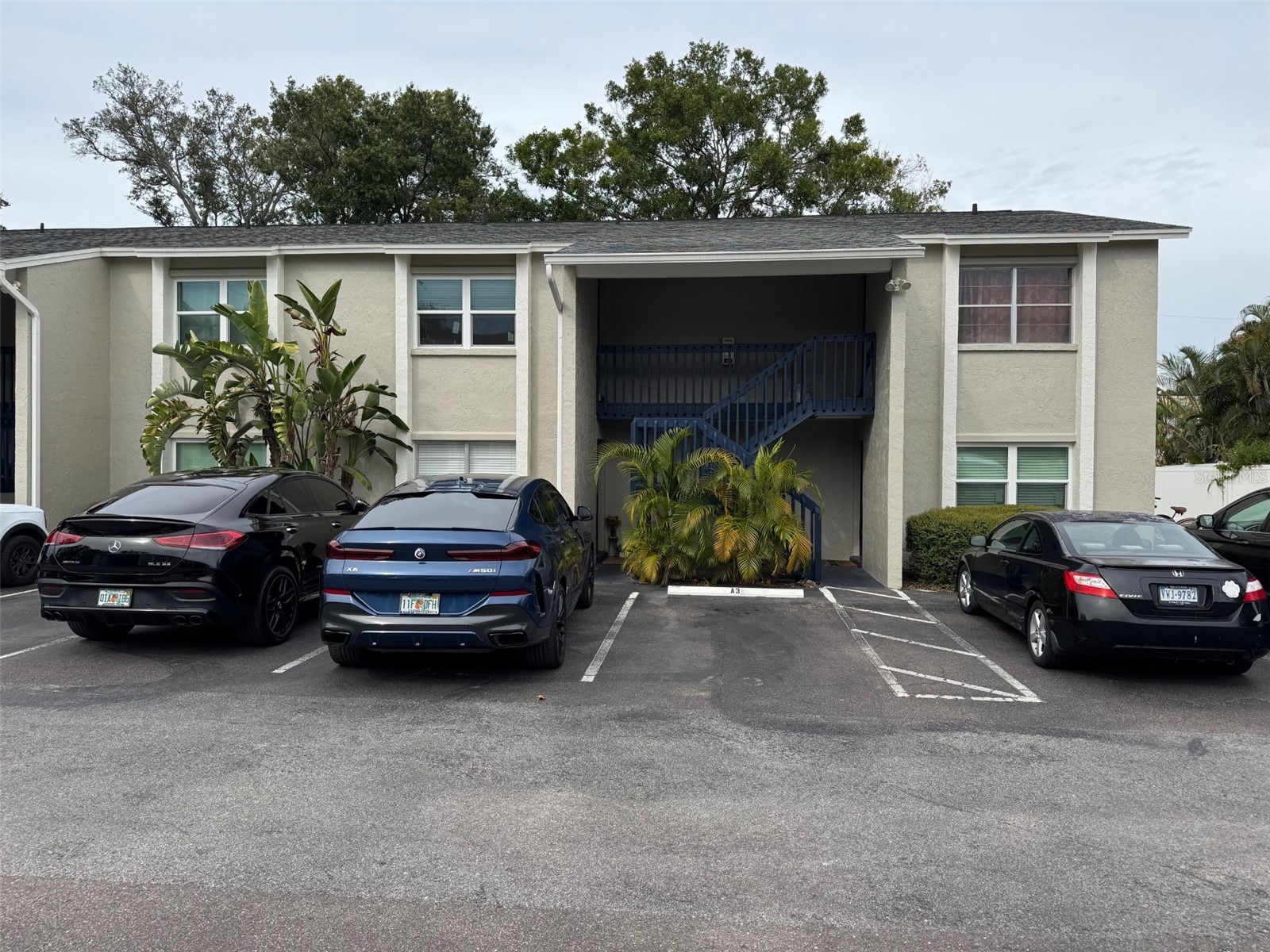 304 S Habana Avenue #6A Tampa FL 33609 TB8498231 image2