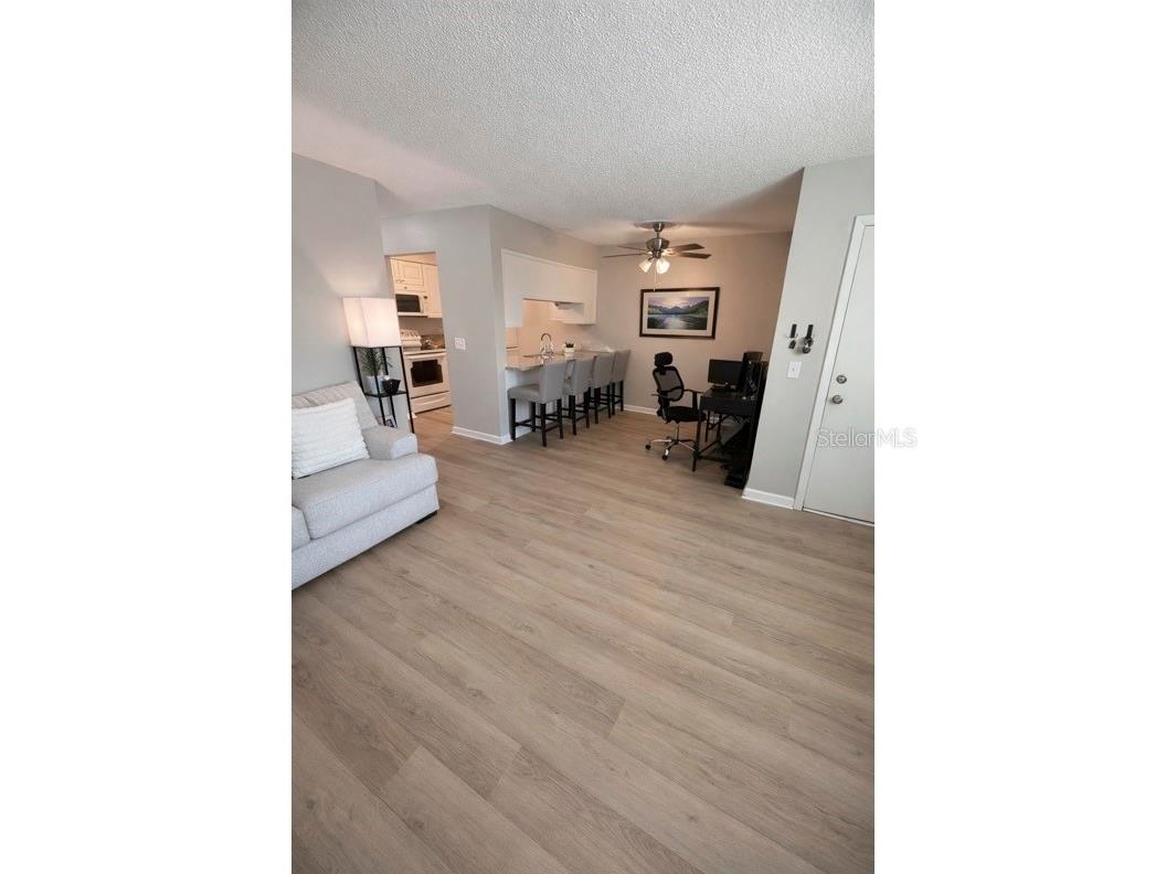 304 S Habana Avenue #6A Tampa FL 33609 TB8498231 image4