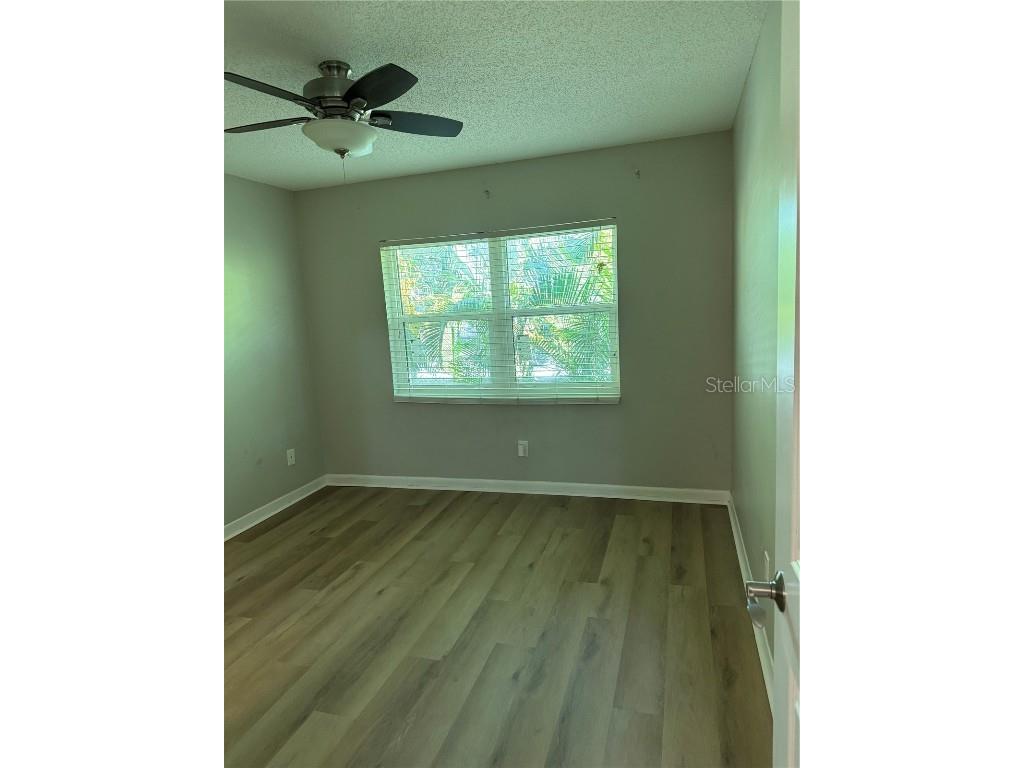 304 S Habana Avenue #A6 Tampa FL 33609 TB8445532 image12