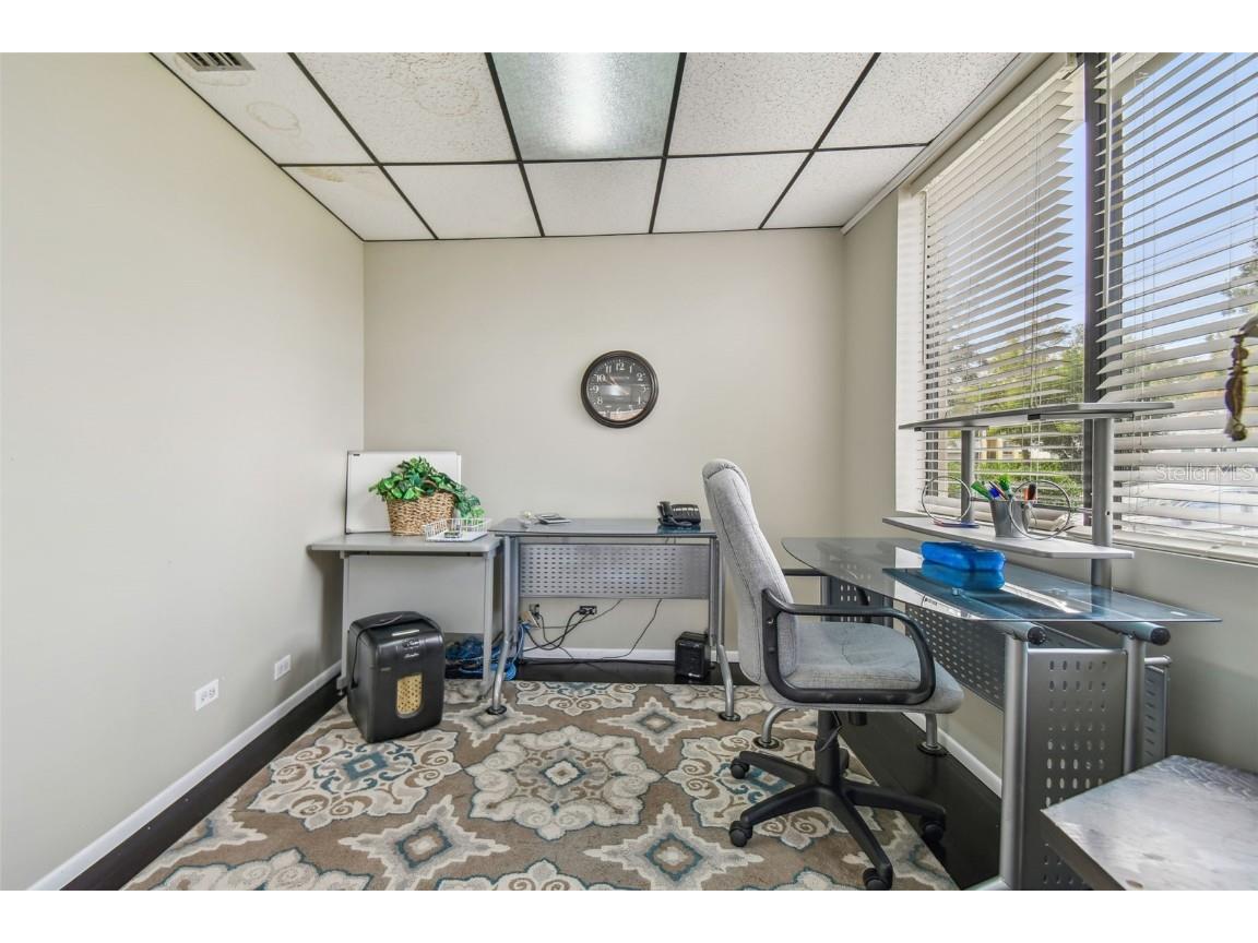 304 S Westland Avenue Tampa FL 33606 TB8336902 image2