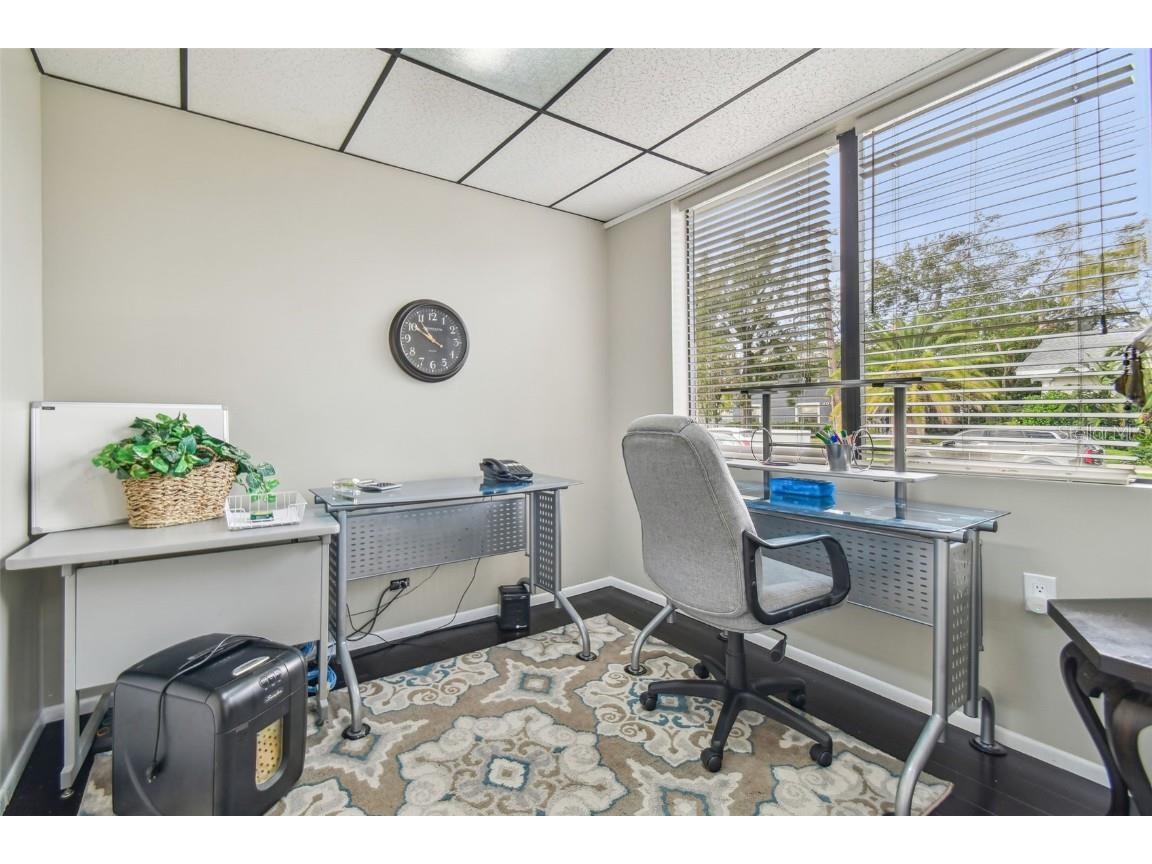 304 S Westland Avenue Tampa FL 33606 TB8336902 image3