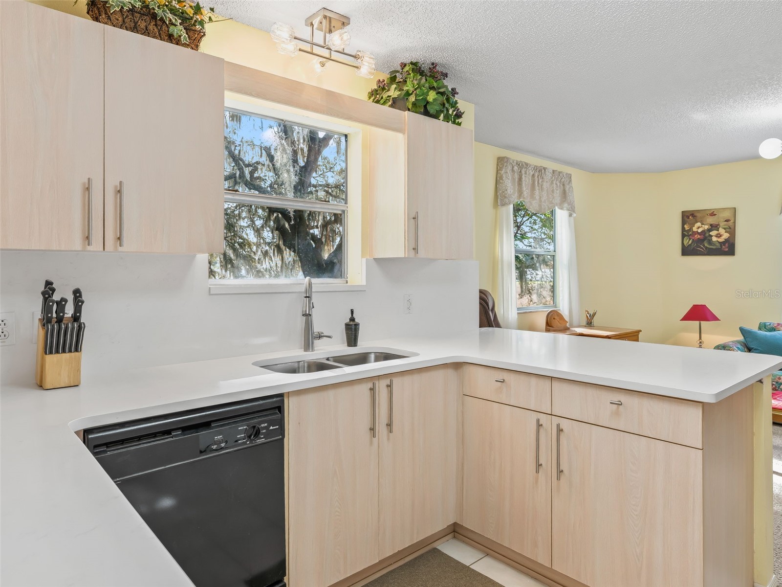 304 San Marino Drive The Villages FL 32159 G5104042 image18