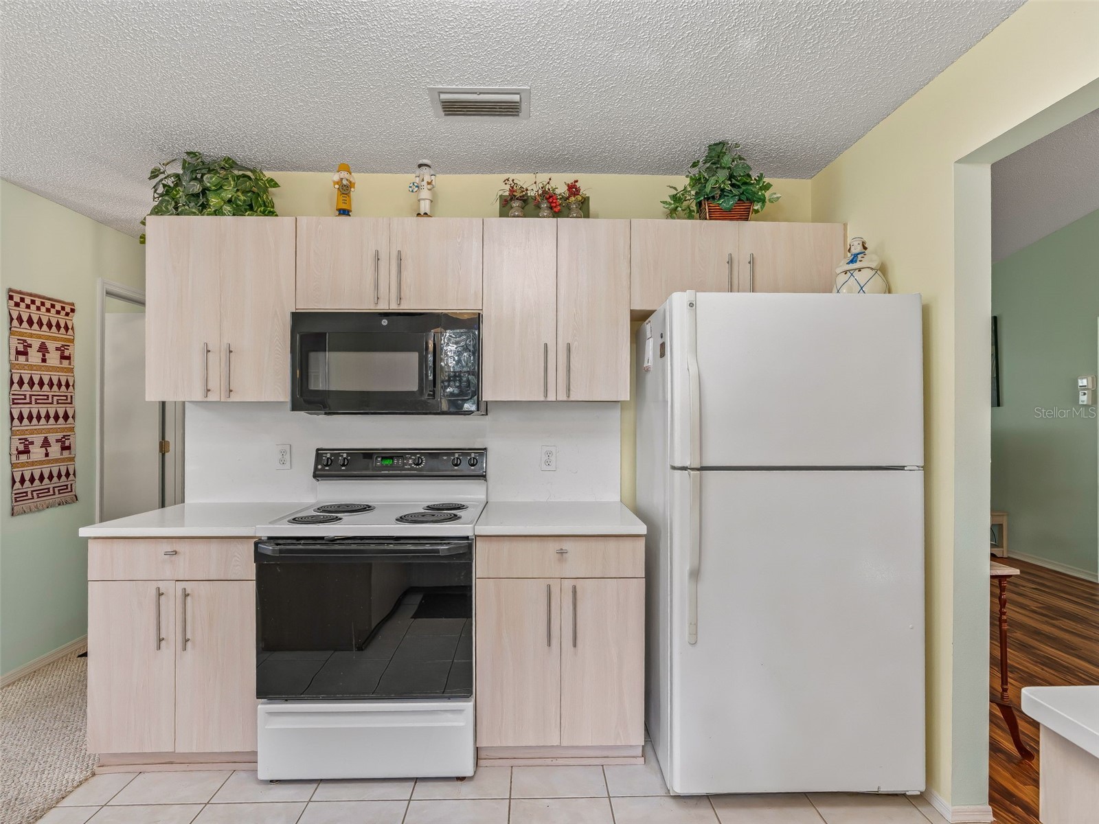 304 San Marino Drive The Villages FL 32159 G5104042 image20