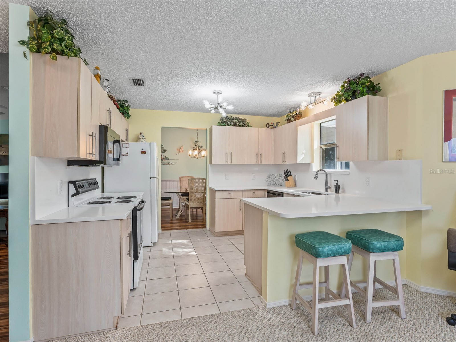 304 San Marino Drive The Villages FL 32159 G5104042 image21