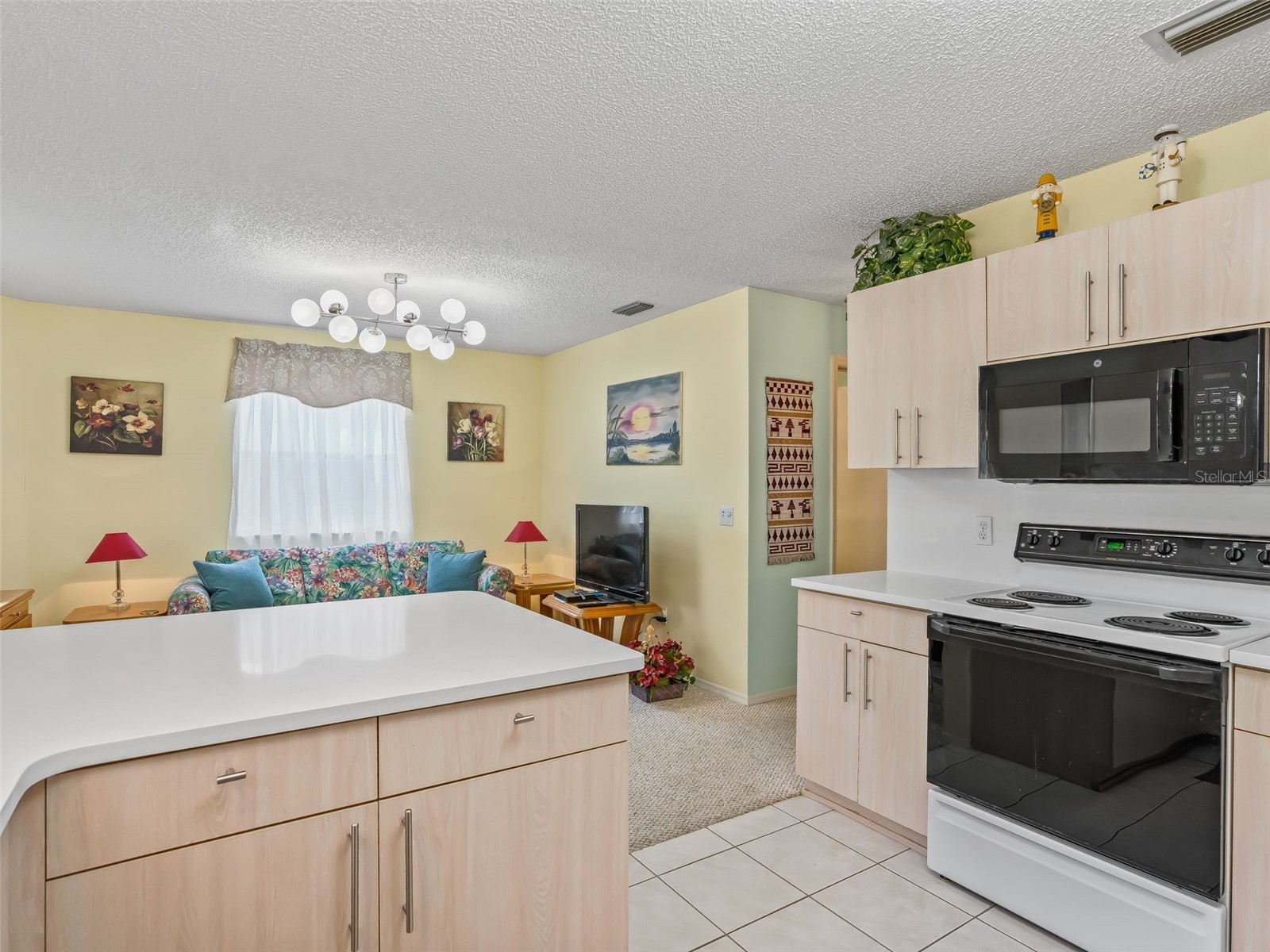 304 San Marino Drive The Villages FL 32159 G5104042 image22