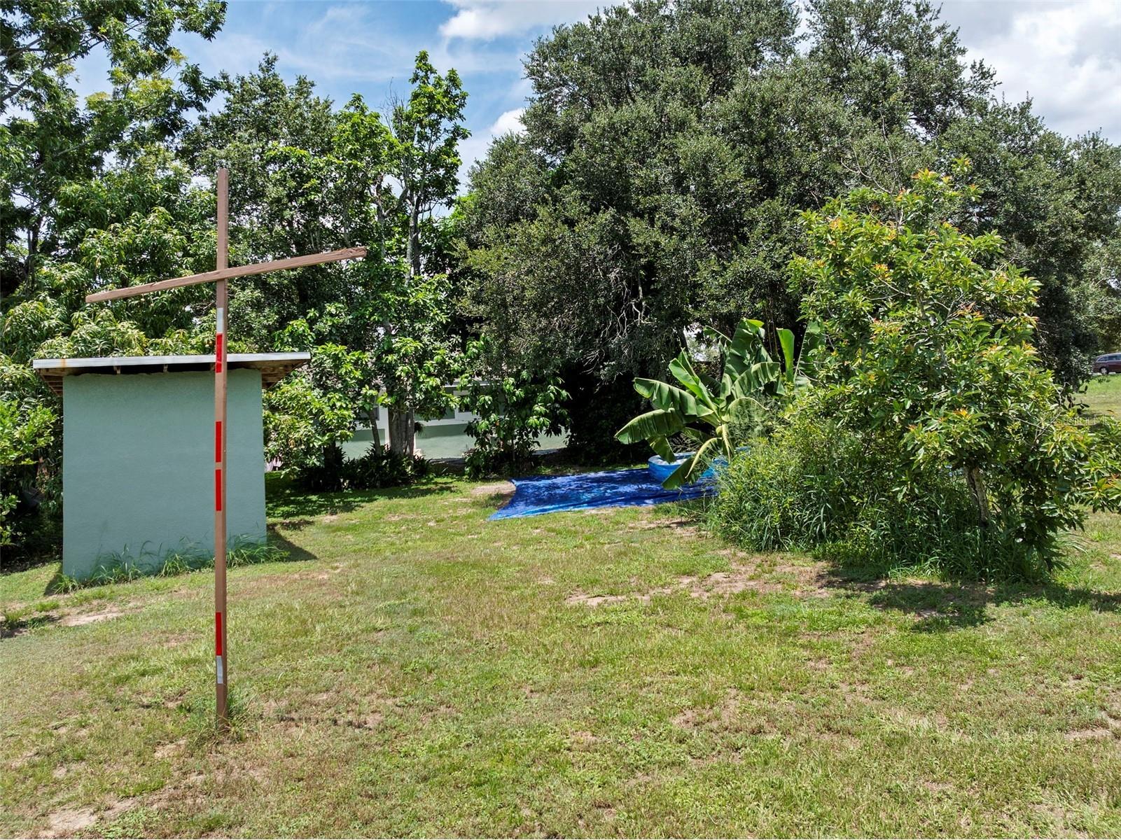 304 Shepard Dundee FL 33838 P4935639 image51