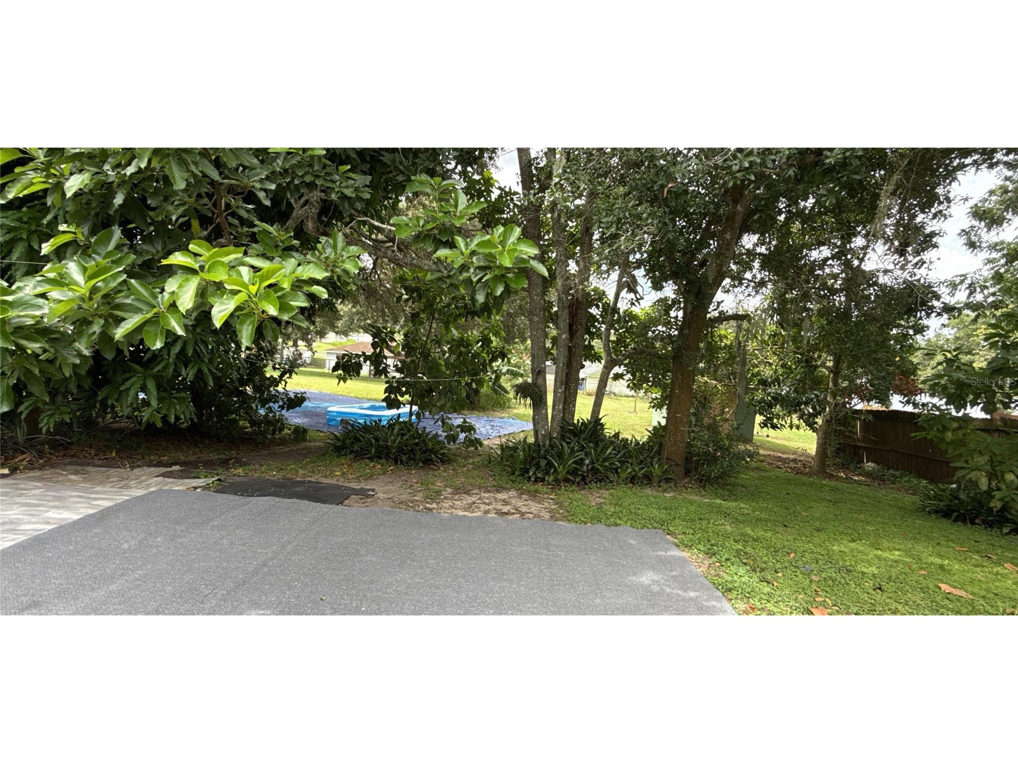 304 Shepard Dundee FL 33838 P4935639 image8