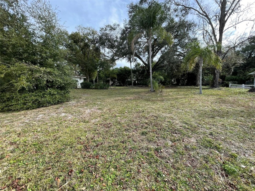 304 Springdale Place Temple Terrace FL 33617 T3500368 image1