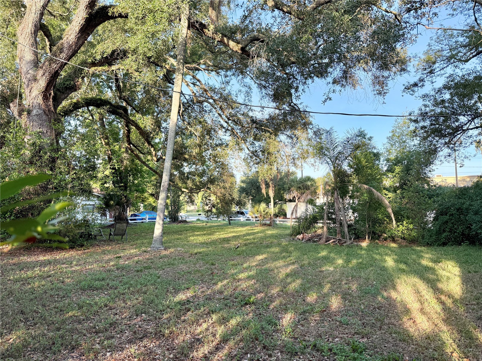 304 Springdale Place Temple Terrace FL 33617 TB8511681 image4