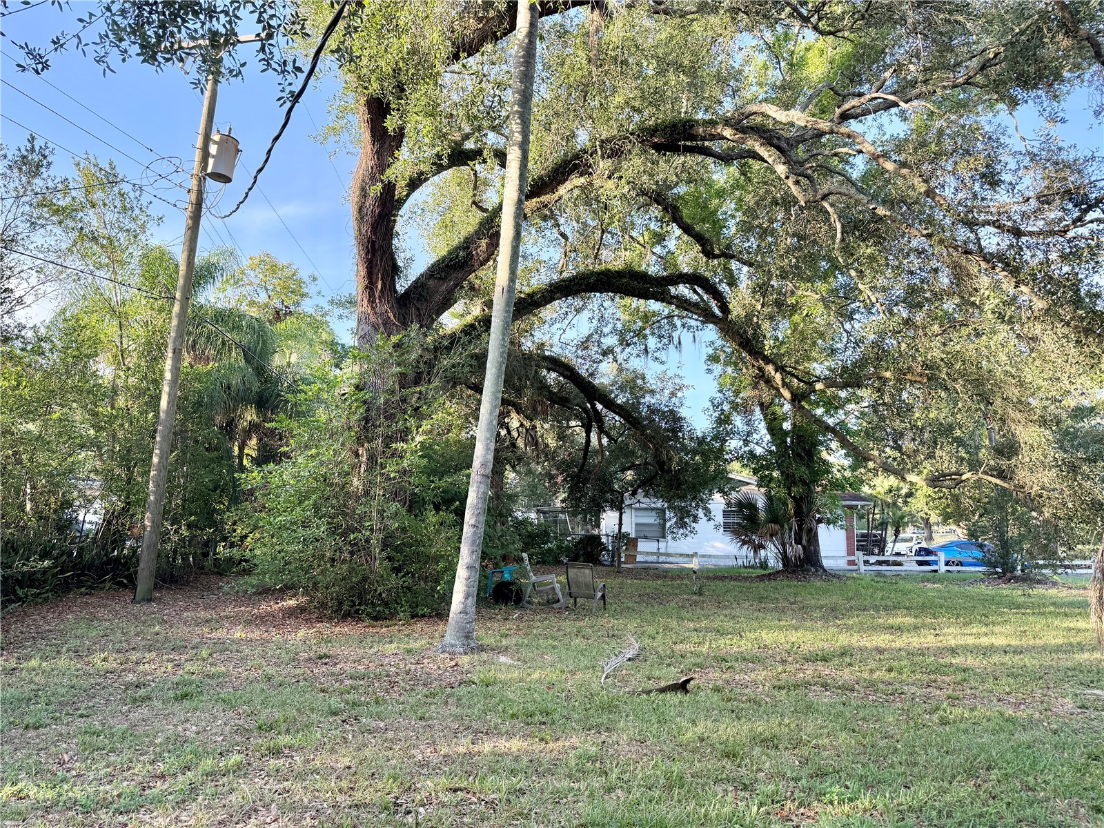 304 Springdale Place Temple Terrace FL 33617 TB8511681 image5
