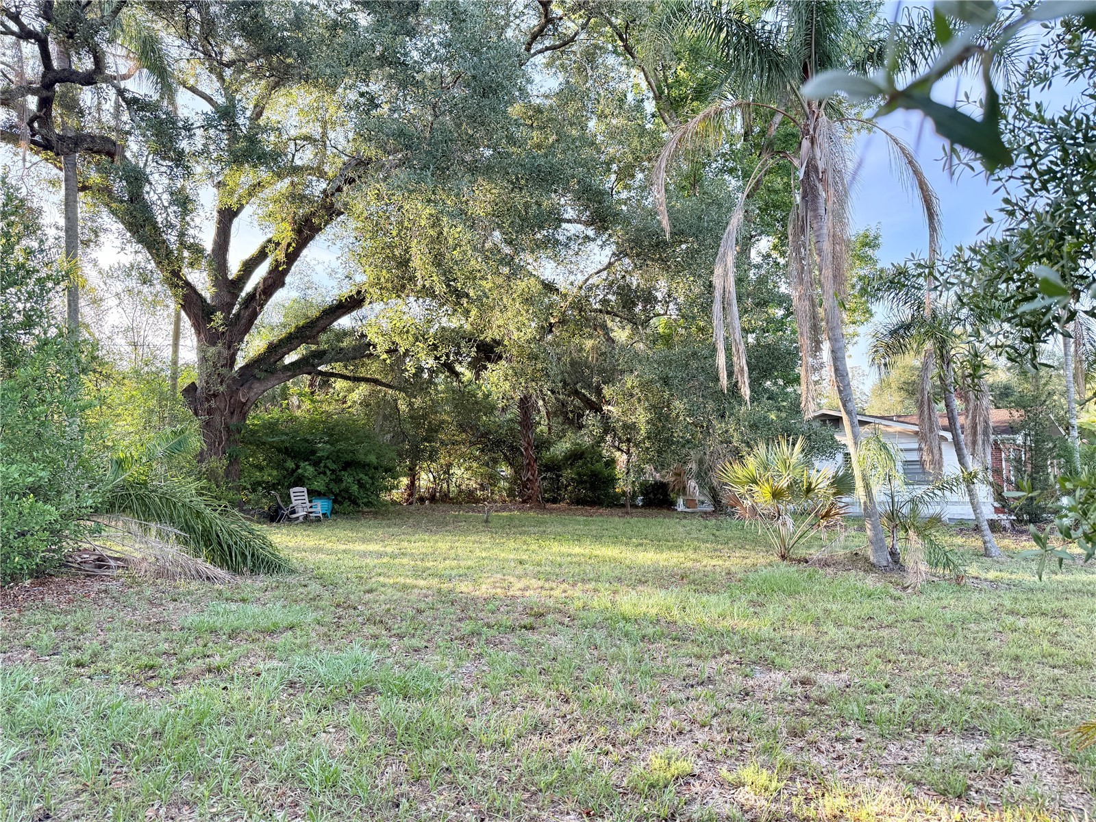 304 Springdale Place Temple Terrace FL 33617 TB8511681 image6